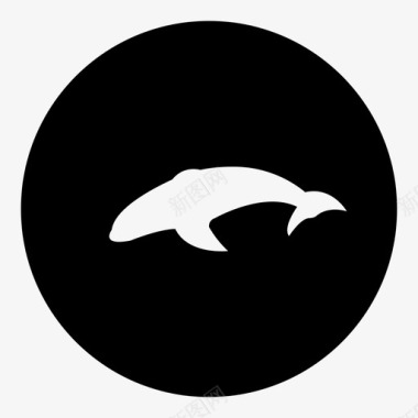 鱼鲸鱼图标图标