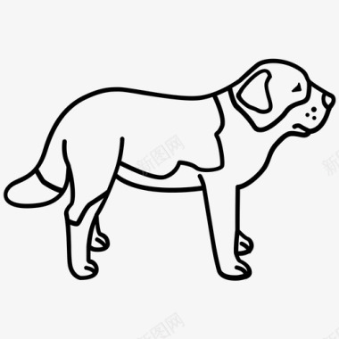 圣伯纳德狗宠物图标图标