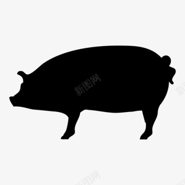 猪动物宠物图标图标