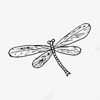 蜻蜓手绘昆虫图标图标