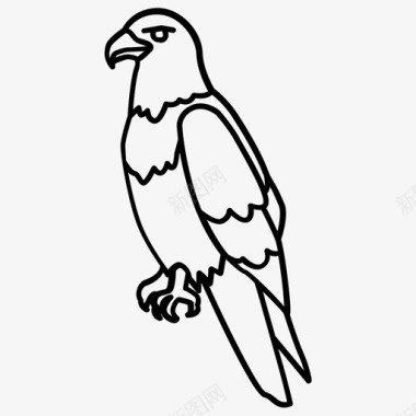 秃鹰美国猎鹰图标图标