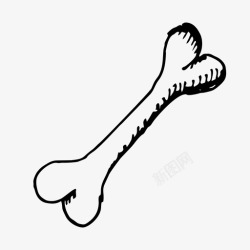 素描骨头骨头狗狗玩具图标高清图片