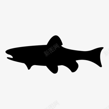鱼鲨鱼图标图标