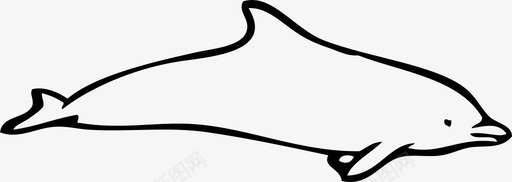 海豚动物鲸目动物图标图标