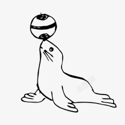 拿球的海豹海牛球马戏团图标高清图片
