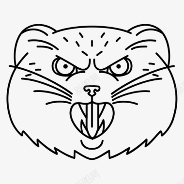 愤怒的帕拉斯猫动物表情图标图标