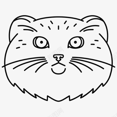 中性帕拉斯猫动物空白图标图标