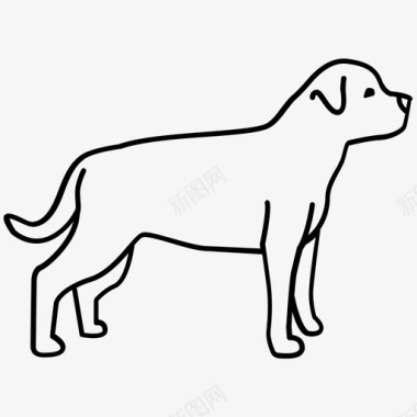 罗威犬狗德国图标图标