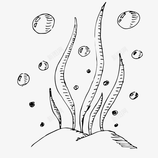 海藻手绘素描图标svg_新图网 https://ixintu.com 手绘 水下 海藻 素描