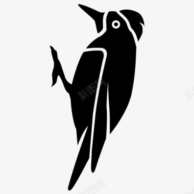 啄木鸟鸟吸血鬼图标图标