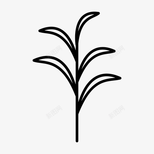 植物叶子甘蔗图标svg_新图网 https://ixintu.com 叶子 树 植物 热带植物 甘蔗