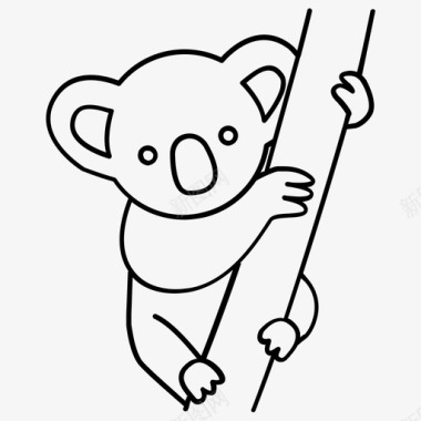 考拉澳大利亚熊图标图标