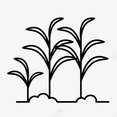 甘蔗森林植物图标图标