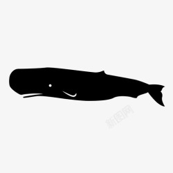 抹香鲸抹香鲸白鲸海洋图标高清图片
