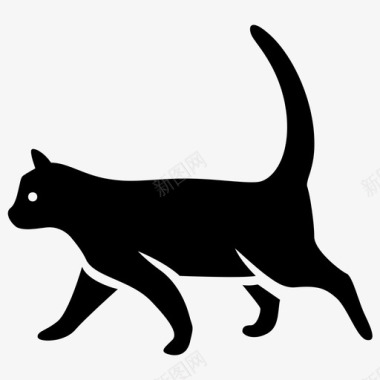猫家养野性图标图标