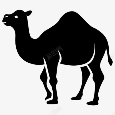 骆驼沙漠单峰骆驼图标图标
