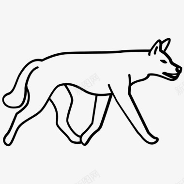 澳洲野狗狗野狗图标图标
