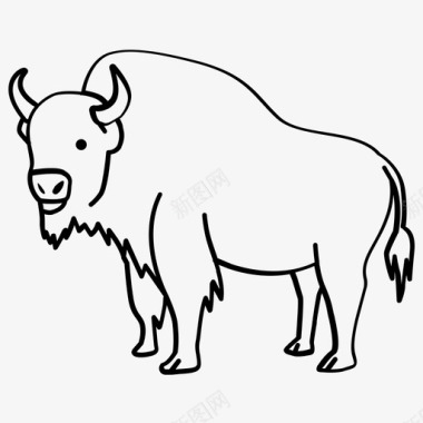 美洲野牛美洲牛图标图标