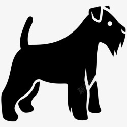 苏格兰犬猎犬艾尔代尔边境犬图标高清图片