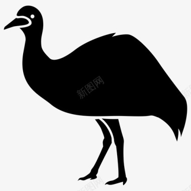 鸸鹋澳大利亚鸟图标图标