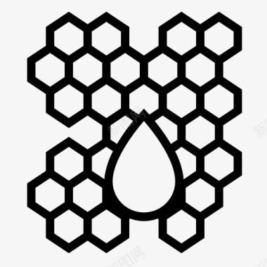 蜂蜜蜂窝蜜蜂养蜂图标图标