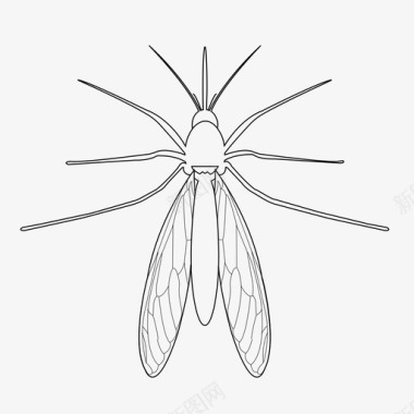 蚊子吸血鬼虫子图标图标