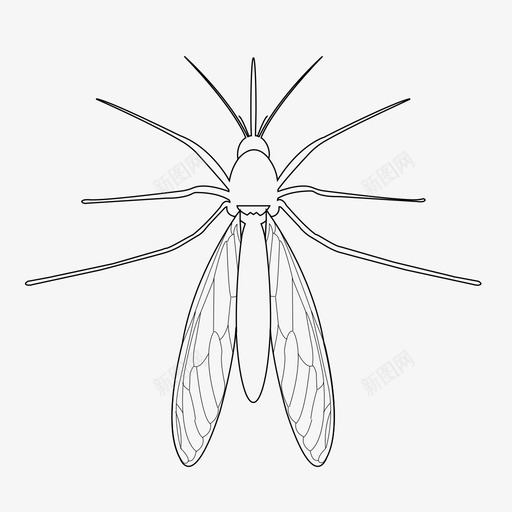 蚊子吸血鬼虫子图标svg_新图网 https://ixintu.com 吸血鬼 昆虫 翅膀 虫子 蚊子