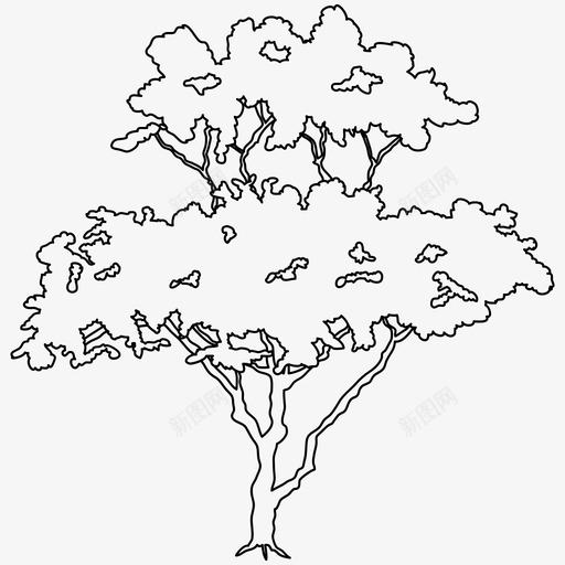 树植物图标svg_新图网 https://ixintu.com 树 植物