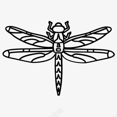 蜻蜓虫子豆娘图标图标