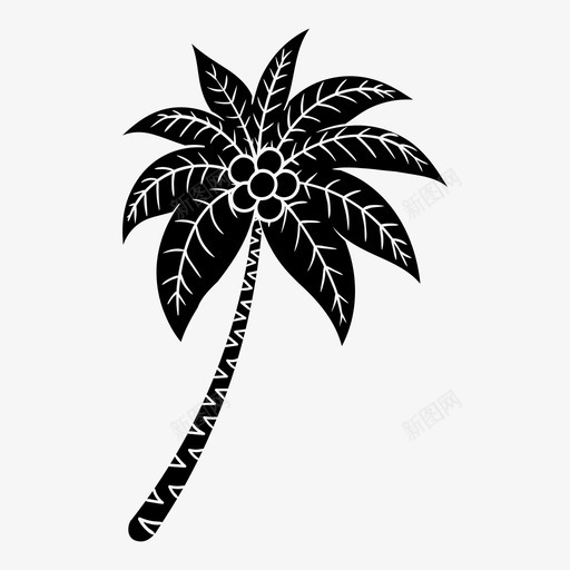 棕榈树椰子树图标svg_新图网 https://ixintu.com 棕榈树 椰子树