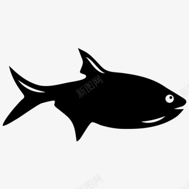 鱼胸鳍鲨鱼图标图标