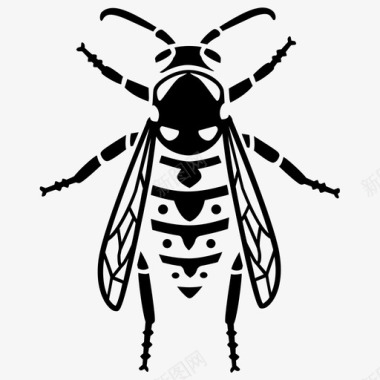 黄蜂叮咬虫子图标图标