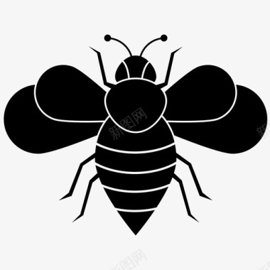 昆虫飞虫图标图标