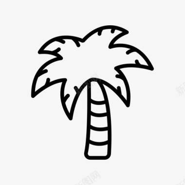 棕榈岛屿棕榈树图标图标
