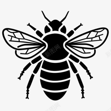 蜜蜂大黄蜂蜂巢图标图标