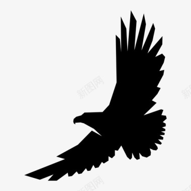 鹰动物鸟图标图标