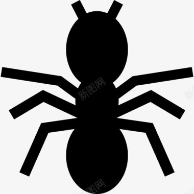 蚂蚁的轮廓动物自然图标图标