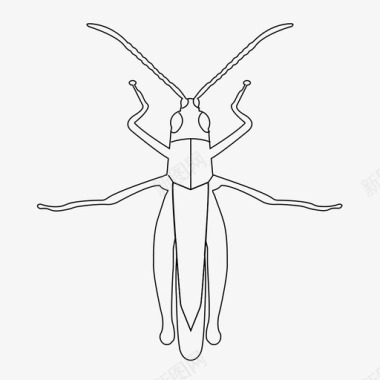 蚱蜢虫子昆虫图标图标