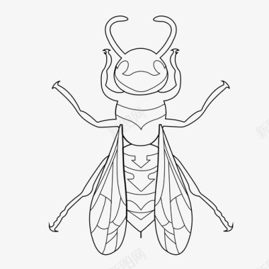 黄蜂蜜蜂虫子图标图标