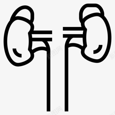 器官肾和输尿管图标图标