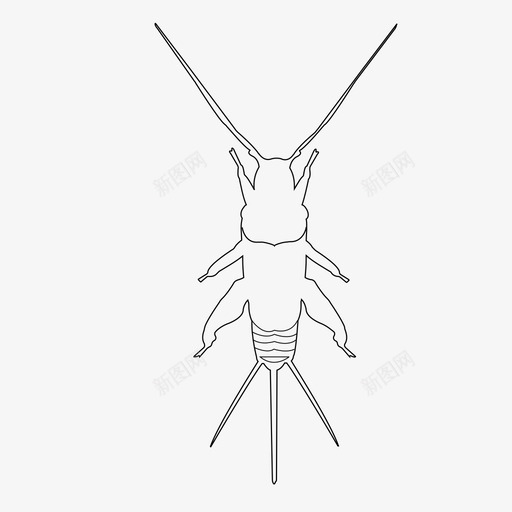 蟋蟀虫子昆虫图标svg_新图网 https://ixintu.com 昆虫 翅膀 虫子 蟋蟀