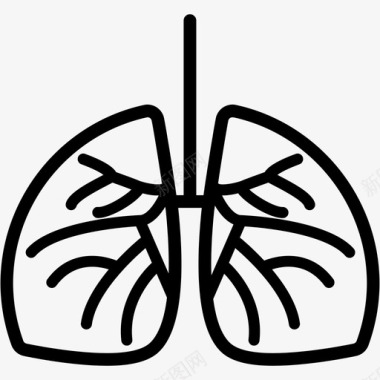 肺解剖学健康图标图标