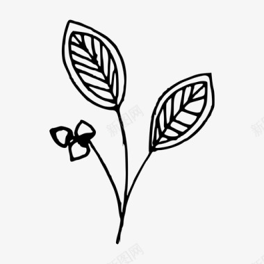 涂鸦叶手绘植物图标图标