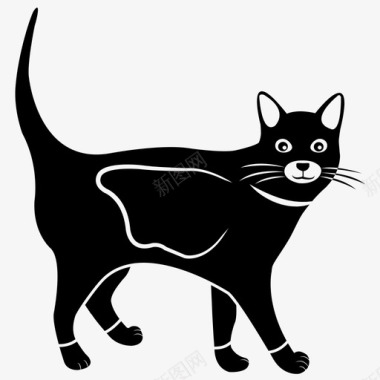猫动物猫科图标图标