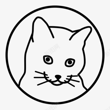 猫动物小猫图标图标
