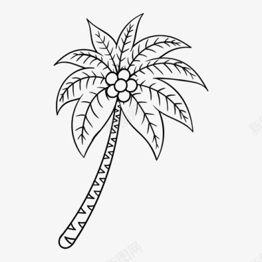 棕榈树椰子树图标图标