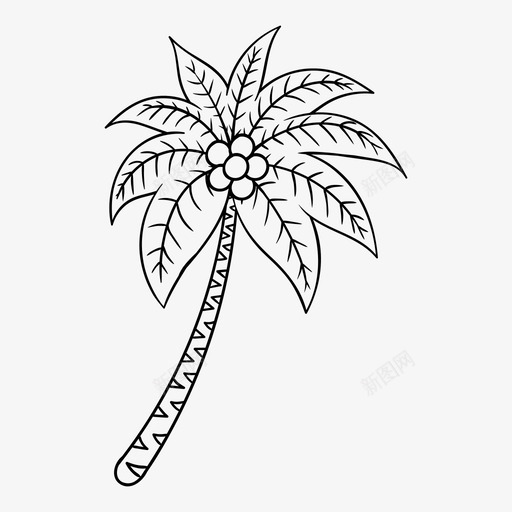 棕榈树椰子树图标svg_新图网 https://ixintu.com 棕榈树 椰子树