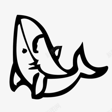 海洋动物鲨鱼图标图标