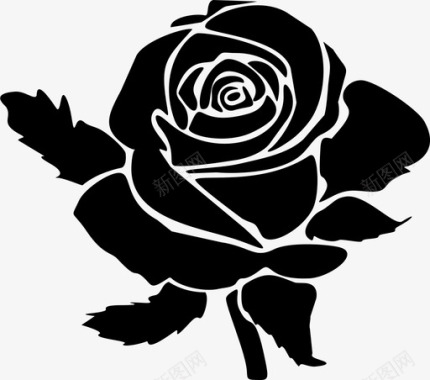 玫瑰美丽花朵美丽图标图标