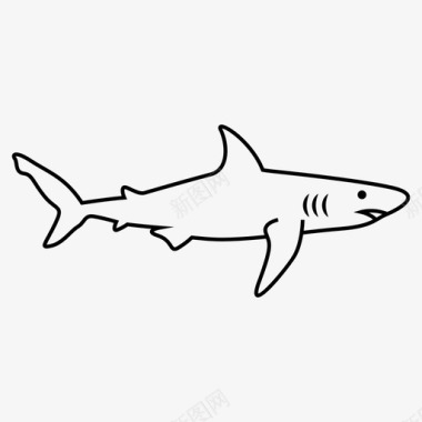 鲨鱼鱼大图标图标